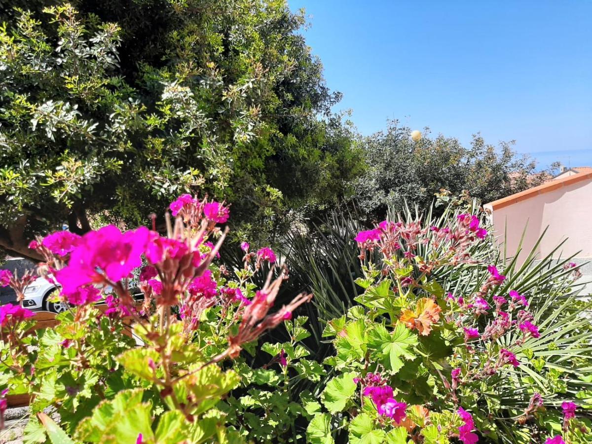 Il Giglio Vista Mare Apartment Funtana Meiga Bagian luar foto